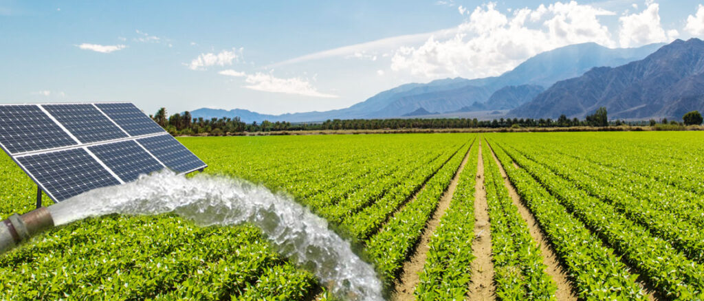 How to Set Up a Solar-Powered Water Pump System