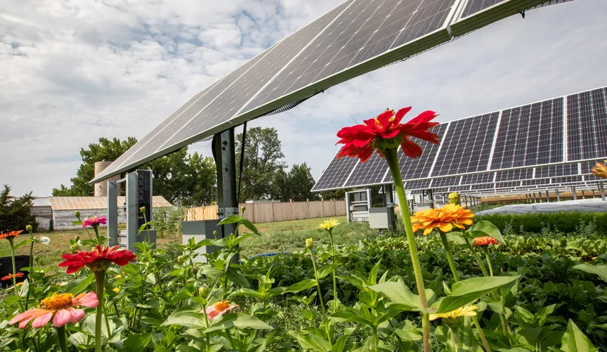 How Community Solar Projects Utilize Solar Panels